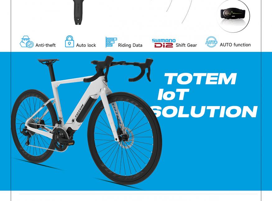 Tianjin Golden Wheel Bicycle (Group) Co., Ltd. / Totem